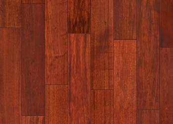Patagonian Rosewood