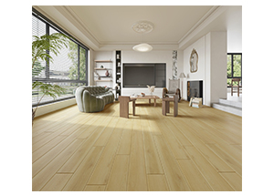 S6310 Untouched Beaches